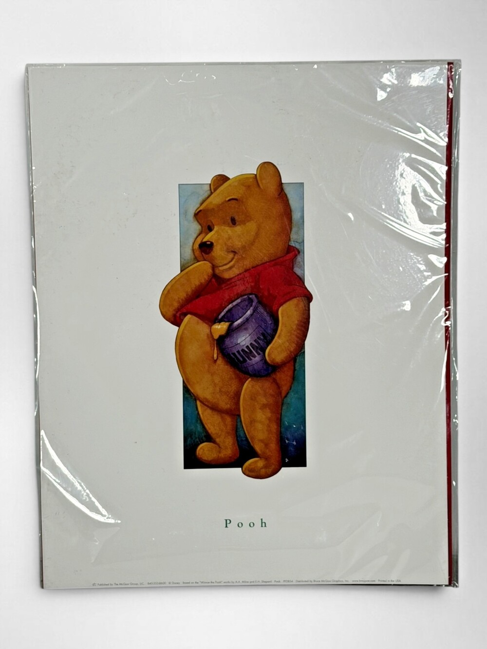 Disney Winnie the Pooh Art Print PFD854 Bruce McGaw Graphics 11x14 Sealed